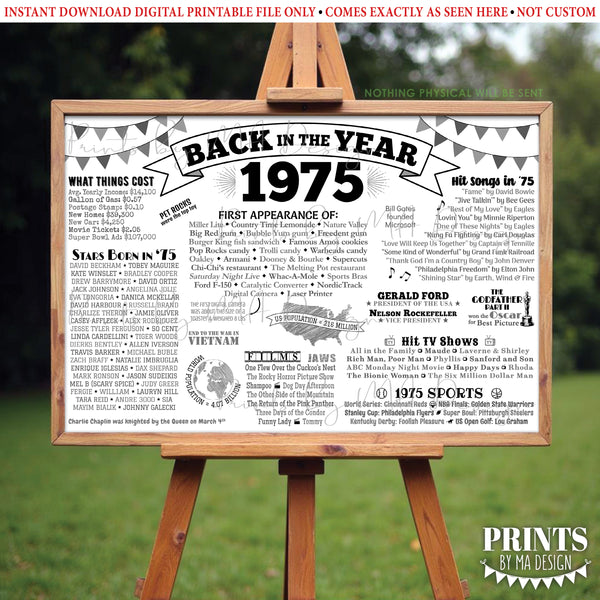 Back in the Year 1975 Poster, Remember 1975 Banner, Flashback to 1975 USA History from 1975, PRINTABLE 4'x6' (48"x72") Sign, Instant Download Digital Printable File