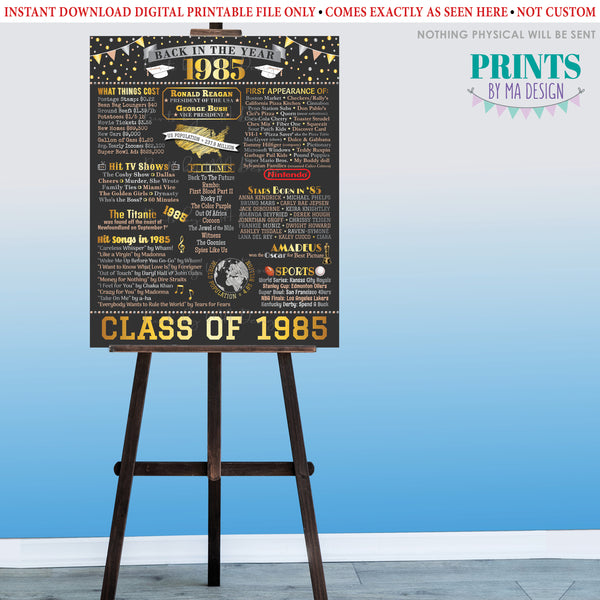 Back in the Year 1985 Poster Board, Flashback to 1985 High School Reunion, Class of 1985 Reunion Decoration, PRINTABLE 16x20” Sign, Instant Download Digital Printable File